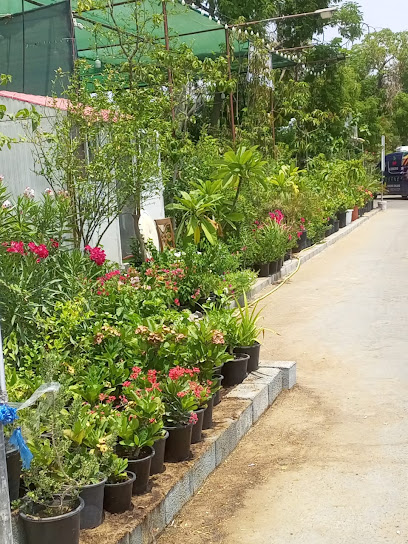 BARAEM AL WADE FLOWERS براعم الوادي للزهور - United Arab Emirates|Masafi Town - Ras al Khaimah|85F9+3R6