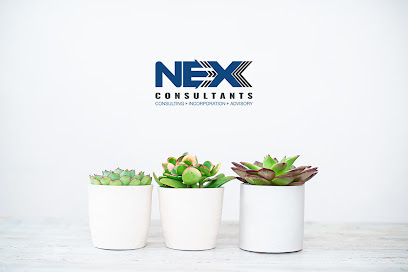 Nex Consultants - Abu Dhabi - +971 50 933 0152