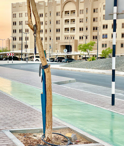 BG-160 - Abu Dhabi - +971 800 789247