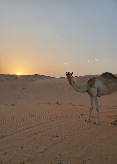 Mzeerʻah - United Arab Emirates|Abu Dhabi