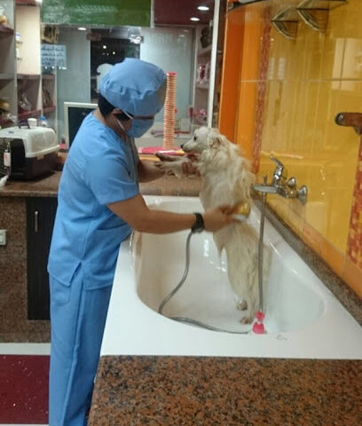 Al Maha Vet Clinic - Abu Dhabi - +971 6 569 0091