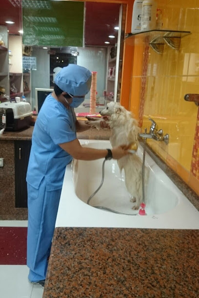 Al Maha Vet Clinic - United Arab Emirates|Al Jubail - Sharjah|Al Marija St