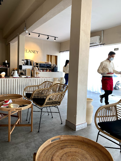 DELANEY - United Arab Emirates|Dafan Al Khor - Ras al Khaimah|352 Sheikh Mohamed Bin Salem Rd