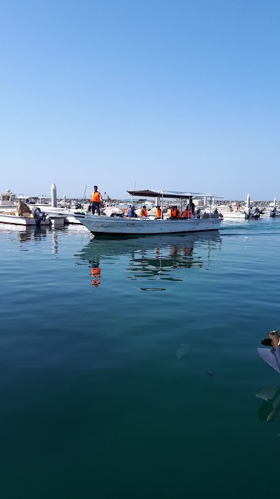 Captain Cruises Organize uae - United Arab Emirates|Al Medan - Umm Al Quawain|مرسى