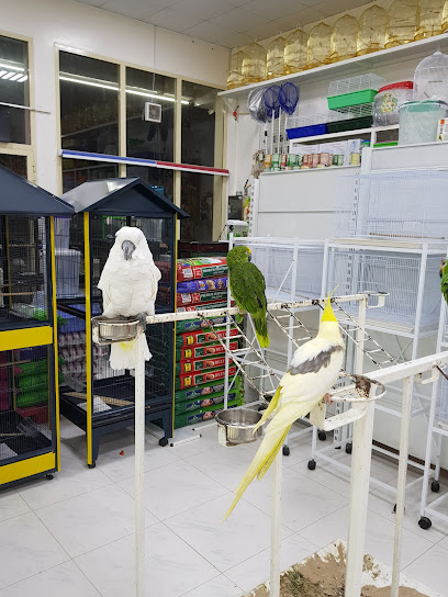 أليف لتجارة الحيوانات Aleef animals trading - United Arab Emirates|Al Mairid - Ras al Khaimah