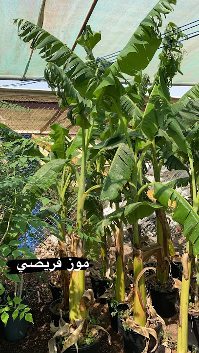 Agricultural Wealth EST - United Arab Emirates|Al Farfar - Fujairah|47X6+6QQ