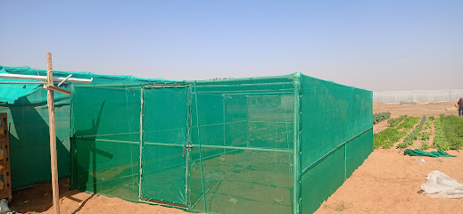 AlDahra Al Ain office - Abu Dhabi -