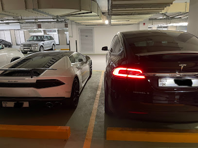 Tesla Rent Dubai - Abu Dhabi - +971 58 592 5206