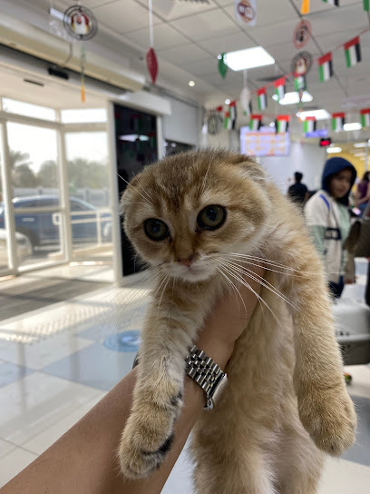 Dubai Municipality Veterinary Services Section - United Arab Emirates|near Football Association - Wadi Al Amardi - Dubai|Al Khawaneej Road|6FG8+GRW، Veterinary Services Building