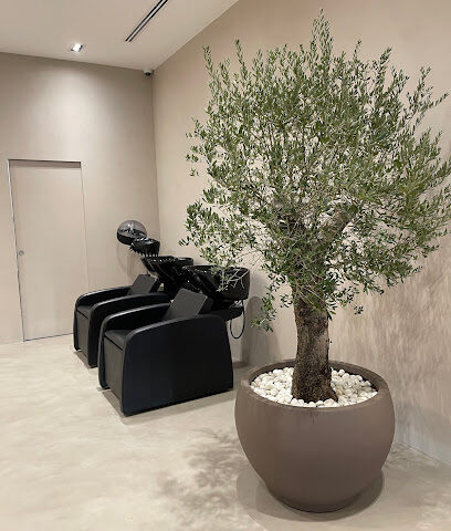 TWIG Men Care Center - Abu Dhabi - +971 56 282 8959