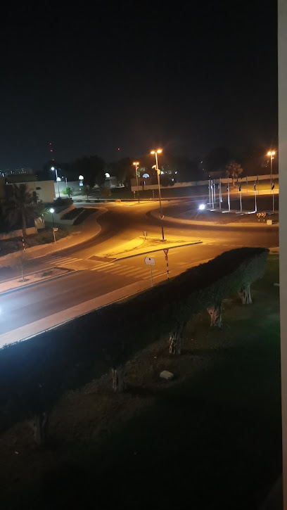 Flags roundabout - United Arab Emirates|Abu Dhabi|Unnamed Road|3JPV+VQ4