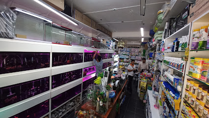 AQUA LAND AQUARIUM AND PET FOOD - Abu Dhabi - +971 50 370 0209