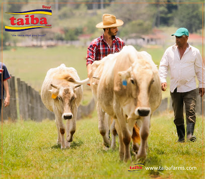 taiba farms - Abu Dhabi - +971 4 311 6185