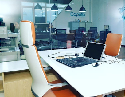 Capella Tax Consultancy LLC - Abu Dhabi - +971 3 722 0418