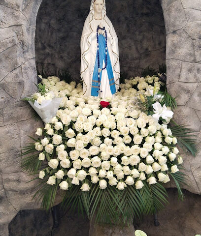 Our Lady Of Perpetual Help Church - Abu Dhabi - +971 9 223 1377