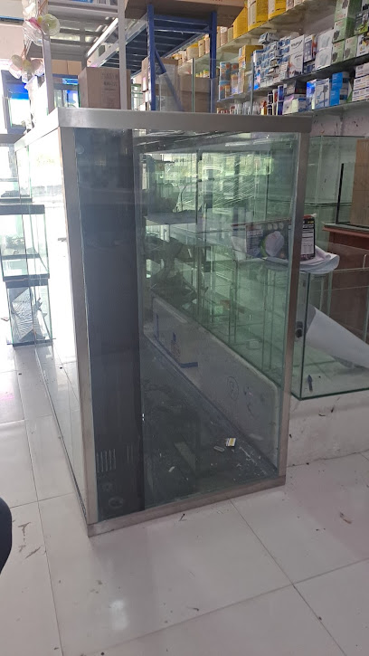 Alam Al Samak Aquarium Shop - United Arab Emirates|Halwan Suburb - Industrial Area 5 - Sharjah|211 University City Rd