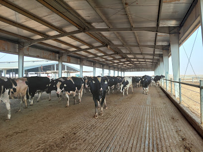 Al Ain Farms for Livestock Production - Nahil - Abu Dhabi -