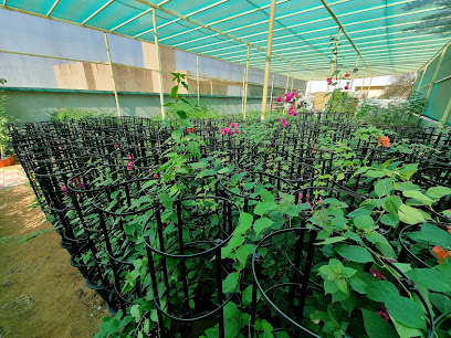 Al Falaj Garden -  - +971 58 110 1177