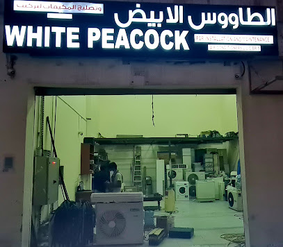 White Peacock Air Conditioning LLC BR1 -  - +971 55 878 4136