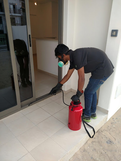 GREEN DOTS SERVICES LLC - United Arab Emirates|Naif - Dubai|Office # 203 - 19B St|AWS Building # 2