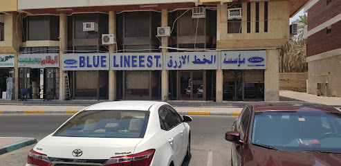 BLUE LINE ESTABLISHMENT - AL AIN BRANCH -  - +971 3 766 4641