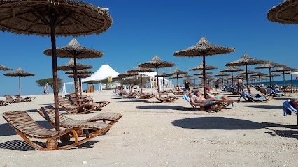 Sir Bani Yas Cruise Ship Beach - Abu Dhabi - +971 800 102030