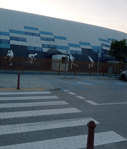 GTS Basketball - Abu Dhabi - +971 50 819 0479