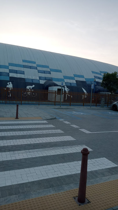 GTS Basketball - United Arab Emirates|Al Hidayriyyat - Abu Dhabi|Hudayriyat Mar Vista