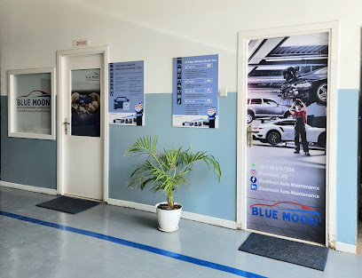 Bluemoon Automobile Maintenance Workshop - Abu Dhabi - +971 58 575 7234