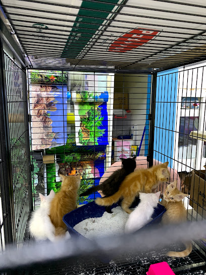 Animal House RAK - United Arab Emirates|Al Juwais - Ras al Khaimah
