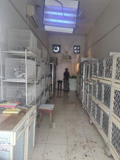 Abu Mohammed birds - United Arab Emirates|Old Ras Al Khaimah - The Old Market - Ras al Khaimah|QXV2+96F