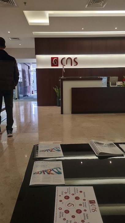 Computer Network Systems (CNS Middle East) - United Arab Emirates|Dubai|22 Airport Rd