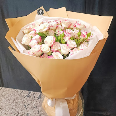 Al Rashidiya - Abu Dhabi - +971 50 177 0714