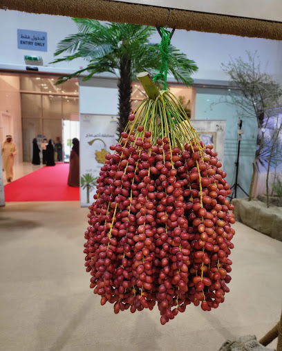 Expo Al Dhaid - United Arab Emirates|Sharjah|E55|7W42+9WG