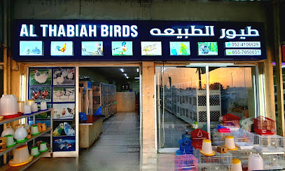 Al Thabiah Birds - Abu Dhabi - +971 52 410 6829