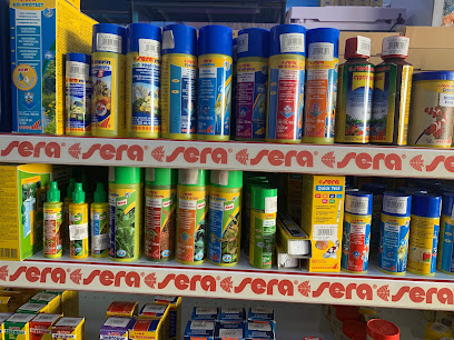 Samnan Ornamental Fish & Aquarrium - Abu Dhabi - +971 6 569 0019