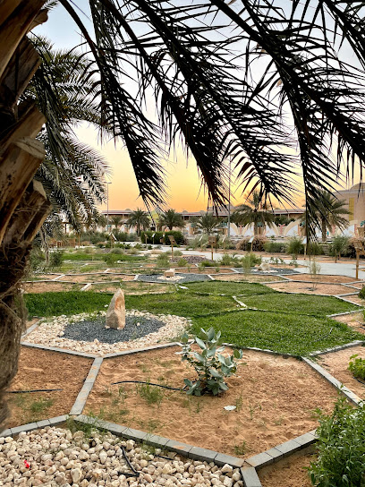 حديقة النباتات المحلية (ممشي عشارج ) - United Arab Emirates|Al 'Iqabiyyah - Abu Dhabi|Unnamed Road