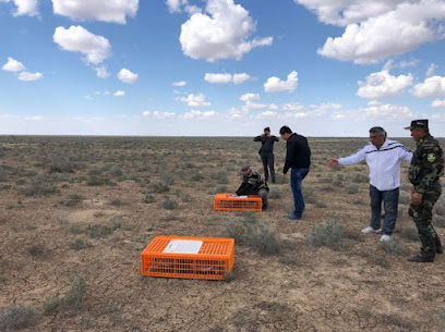 International Fund for Houbara Conservation - Abu Dhabi - +971 2 693 4455
