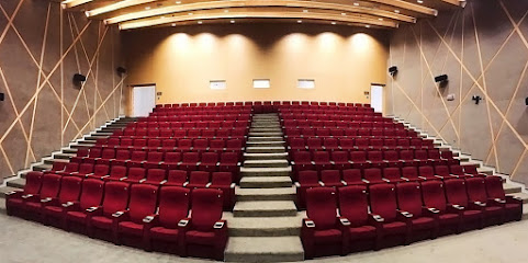 Sontext Acoustic Panels UAE -  - +971 4 409 6863