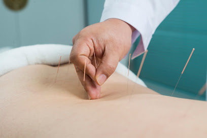 TCMShanghai Chinese Medical Center - Abu Dhabi - +971 4 886 2862