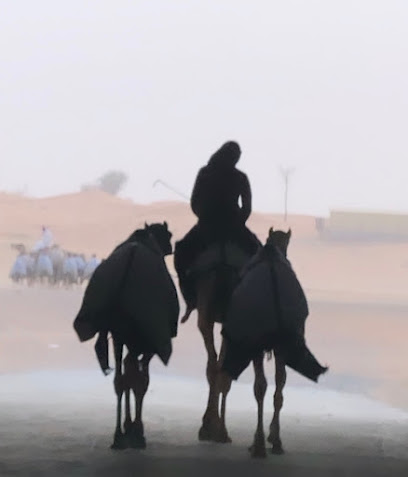 عزبة سلطان المحيان - Abu Dhabi -