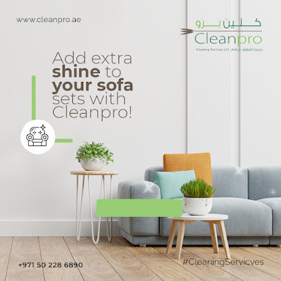 Cleanpro Cleaning Services LLC - Abu Dhabi - +971 50 228 6890