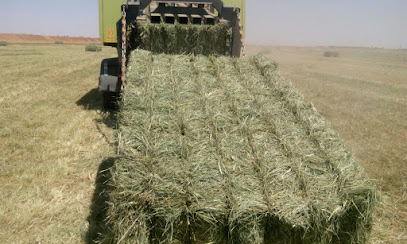 Dero Agro Farms - Abu Dhabi - +971 4 295 5640