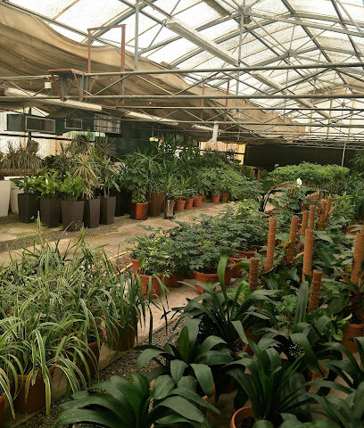 Al Dhannah City Farm-Mini Zoo - Abu Dhabi -