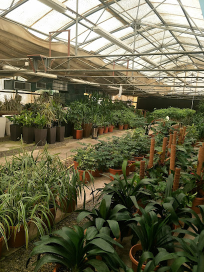 Al Dhannah City Farm-Mini Zoo - United Arab Emirates|Al Dhannah City - Abu Dhabi|3MW4+M5Q