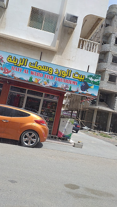 Baith Al Ward fish Aquariums - United Arab Emirates|Al Rashidiyah - Fujairah|H7VC+PW2