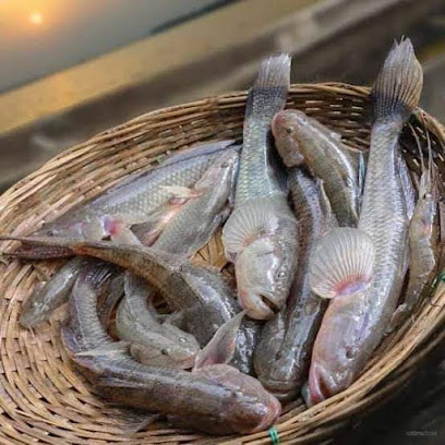 عيادة ملاقط البيطرية - Abu Dhabi - +971 2 818 1111