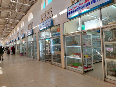 Birds Market - Abu Dhabi - +971 52 890 0098