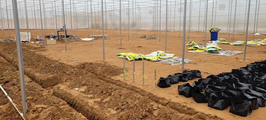 مزرعة خليفة بن هويدن الكتبي Khalifa Bin Huwaidan Alketbi Farm -  -