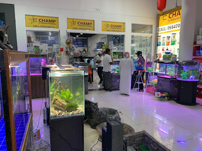 Champ international trading F. Z. E. - Abu Dhabi - +971 56 470 9019